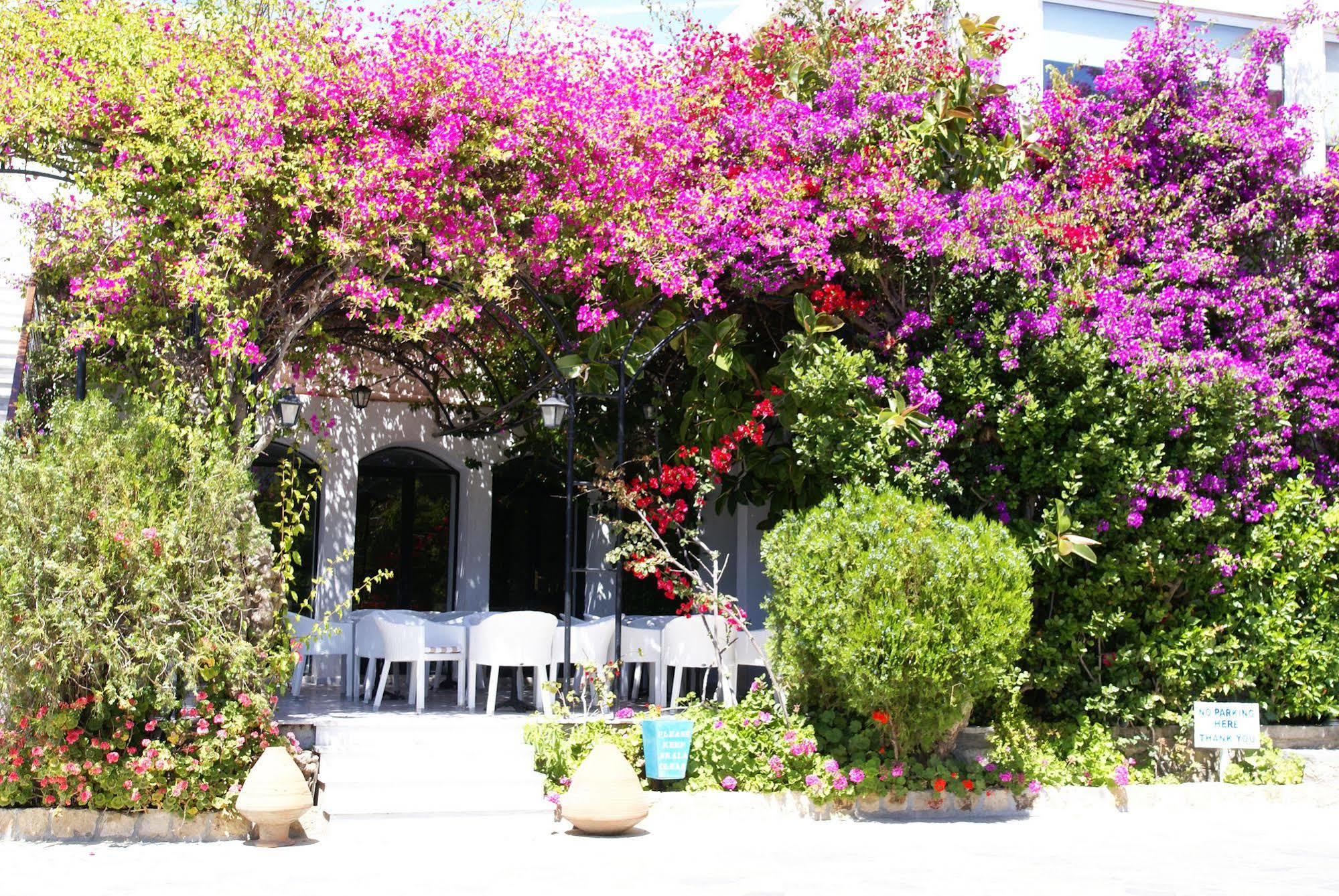 Skala Hotel Екстериор снимка